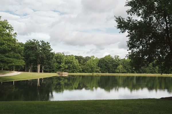 The Evergreen Estate