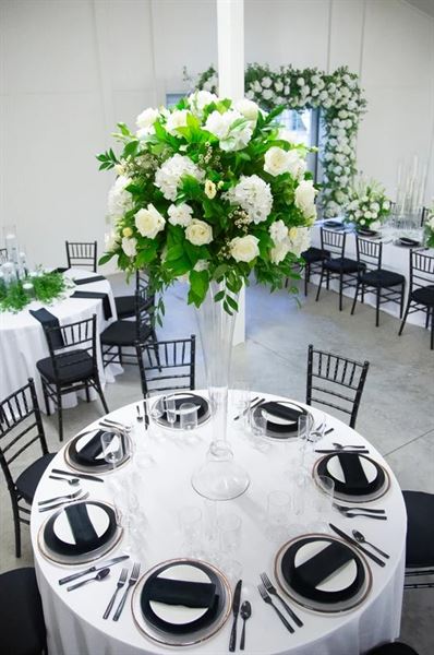 The Evergreen Estate