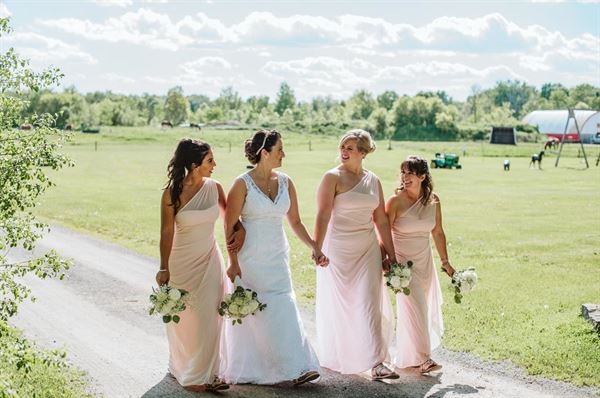 Stanleys Olde Maple Lane Farm