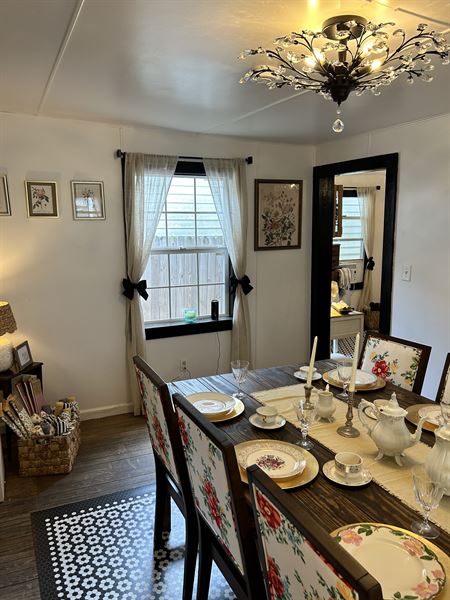 Comfort and Joy Florals