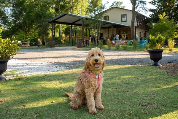 Gary's Brewery & Biergarten