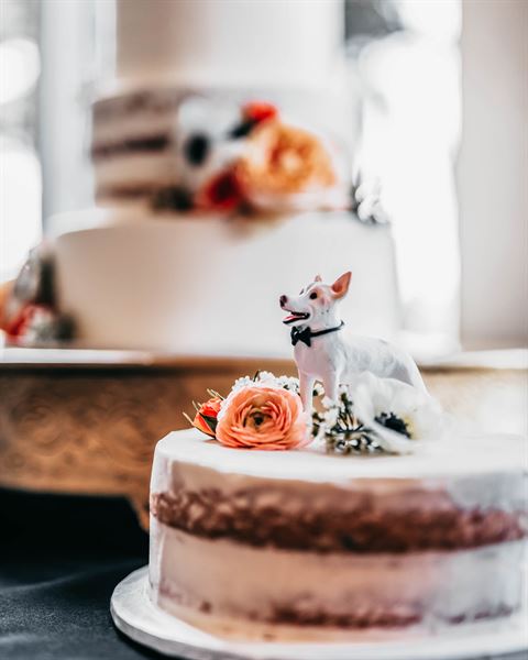 Jonathan Tung Photography