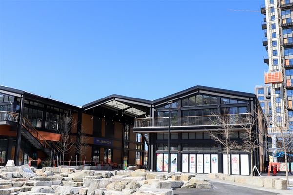 Lamplighter Brewing Co.