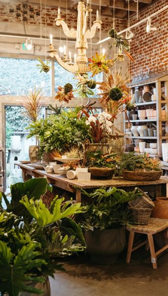 Rolling Greens Nursery  - Beverly Grove