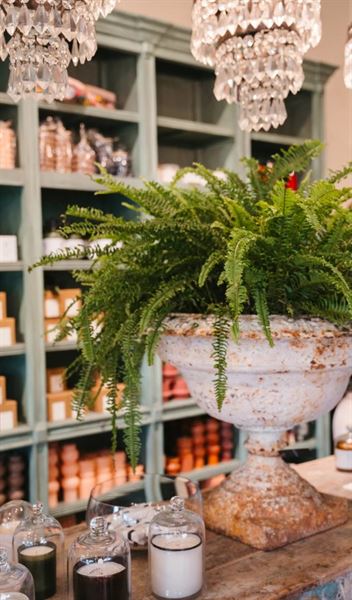 Rolling Greens Nursery  - Beverly Grove