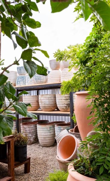 Rolling Greens Nursery  - Beverly Grove