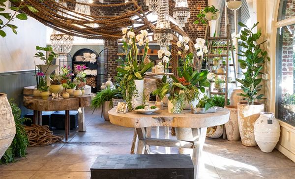 Rolling Greens Nursery  - Beverly Grove