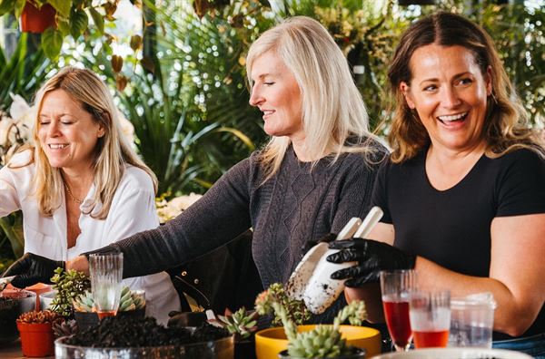 Rolling Greens Nursery  - Beverly Grove