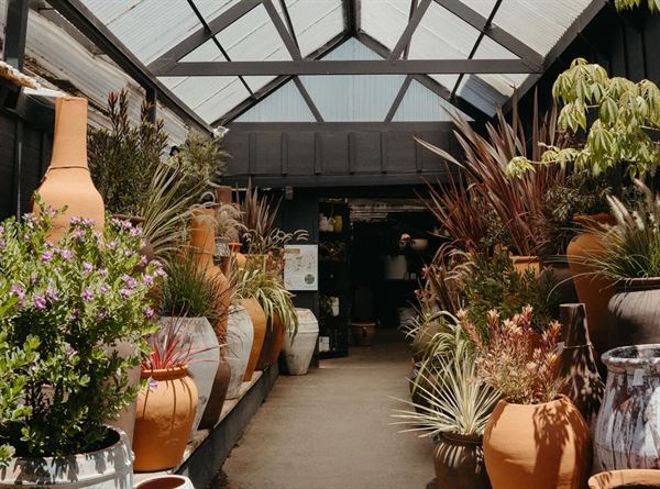 Rolling Greens Nursery  - Beverly Grove