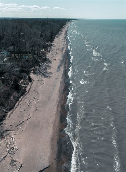 Skybound Perspectives