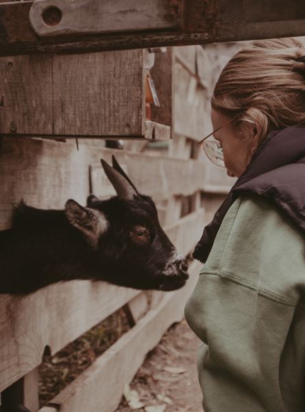 Skybound Perspectives