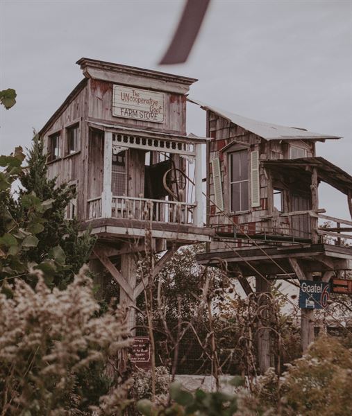 Skybound Perspectives