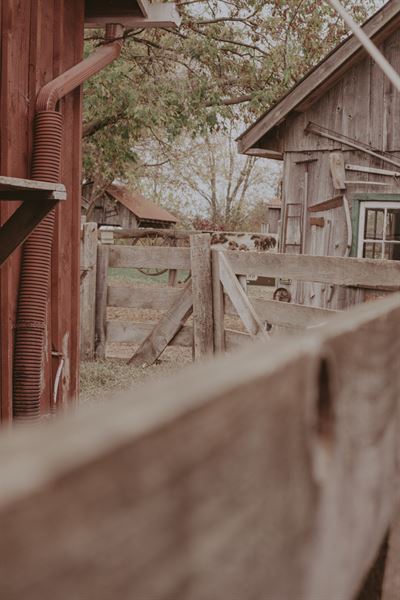 Skybound Perspectives