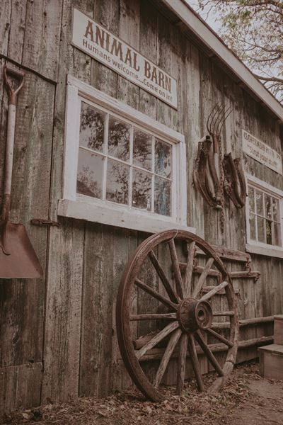 Skybound Perspectives