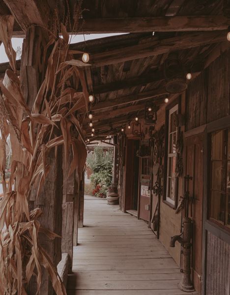 Skybound Perspectives