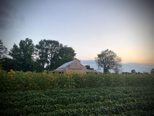 Aunt Julia’s Garden