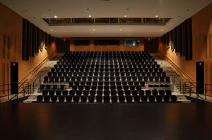 Edlis Neeson Theater