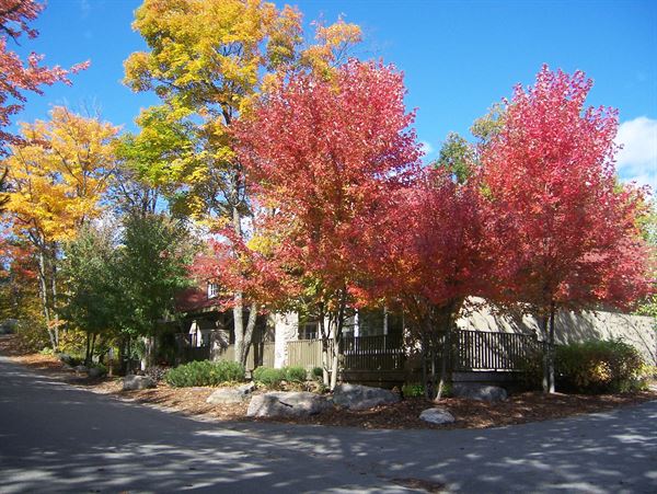 Rocky Crest Golf Resort