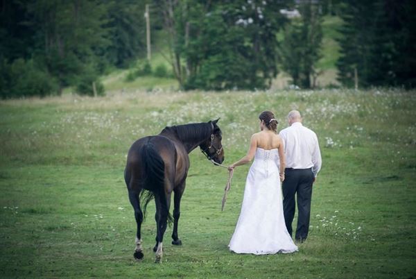Weddings at Maple Grove
