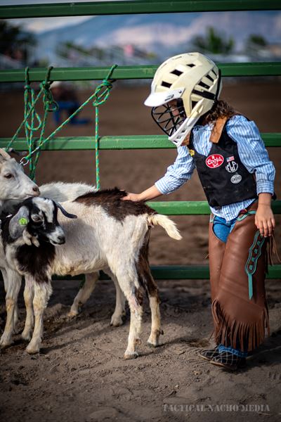 Tactical Nacho Media