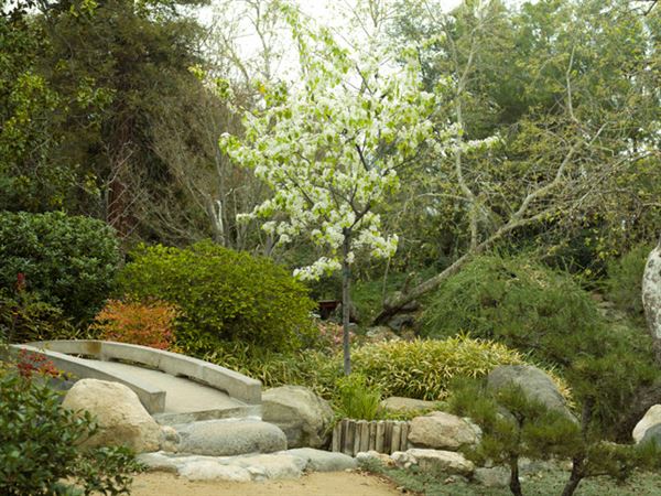 Storrier Stearns Japanese Garden