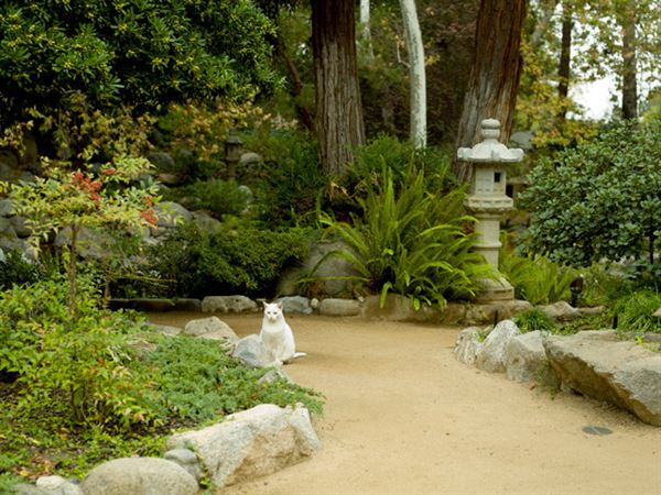 Storrier Stearns Japanese Garden