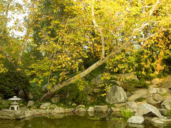 Storrier Stearns Japanese Garden