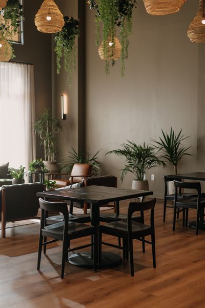 Lost Office Collaborative