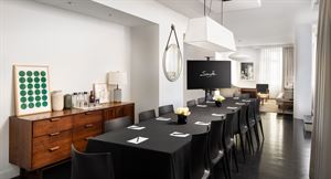 Penthouse Terrace Suite