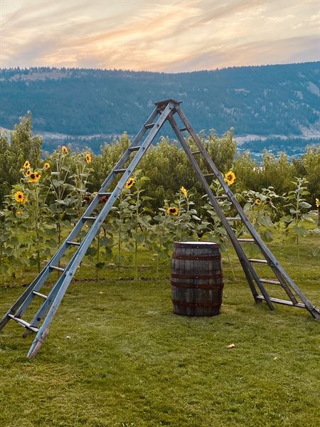 Okanagan Orchard Events