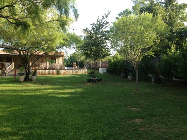 White Chapel Gardens