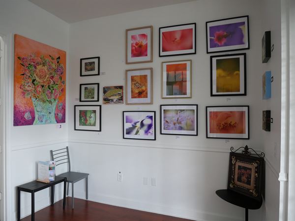 Avalon Park Arts & Culture Center