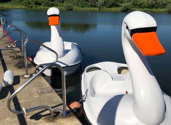 Craig's Crusiers - Holland