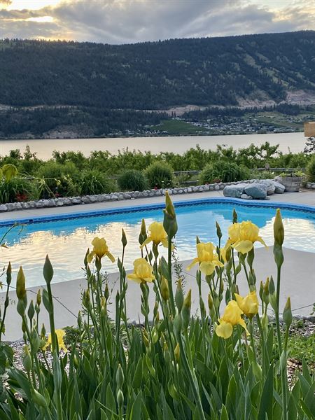 Okanagan Orchard Events