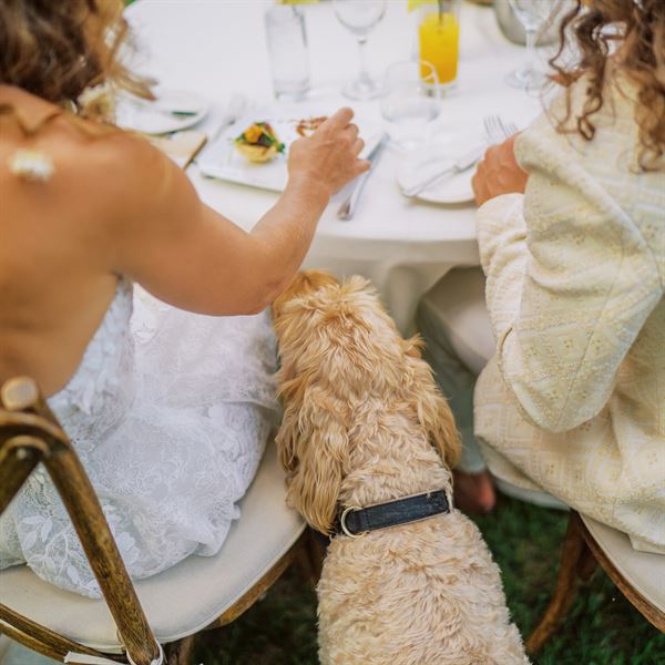 Shell Creek Photography