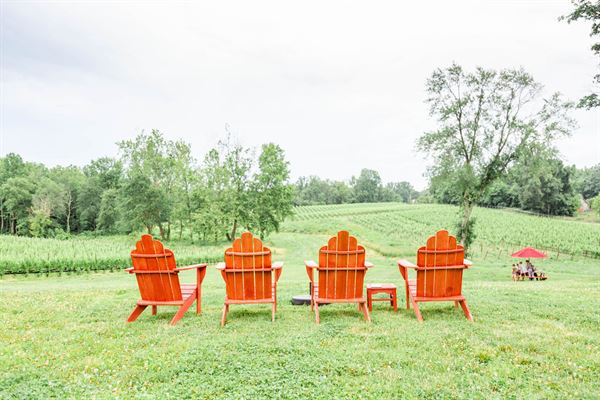 The Vineyards at Dodon