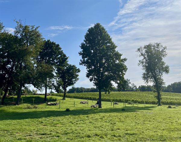 The Vineyards at Dodon