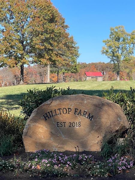 Hilltop Farm