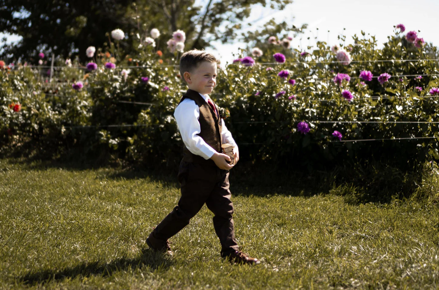 Petals In Bloom Farm