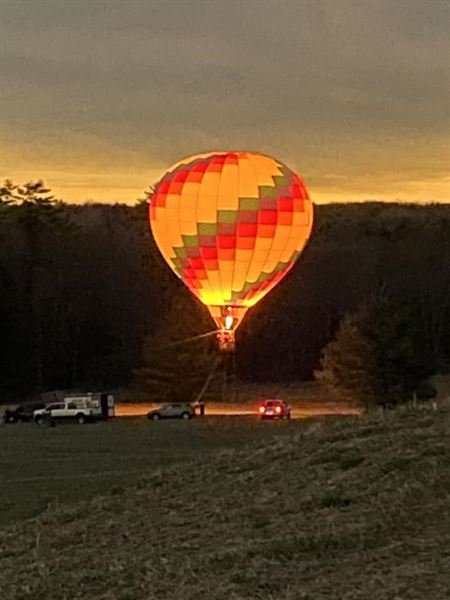 Petals In Bloom Farm