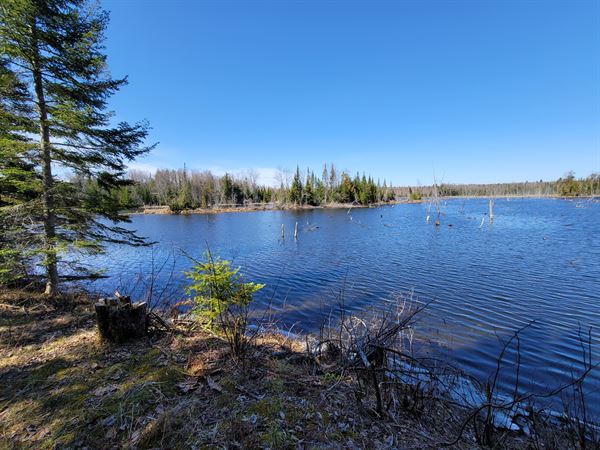 ELDORADO RECREATION CORPORATION