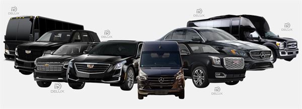 Delux Limousine Transportation Services LLC