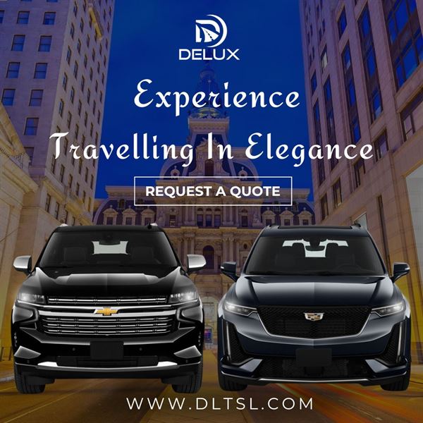 Delux Limousine Transportation Services LLC