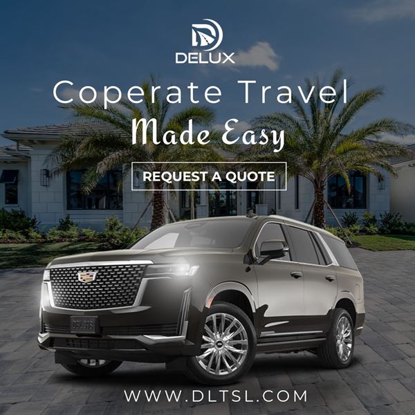 Delux Limousine Transportation Services LLC