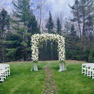 Enchanting Forest Garden