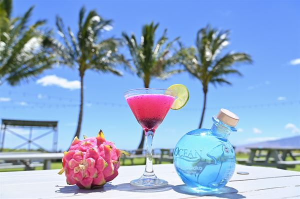 Ocean Organic Farm and Distillery