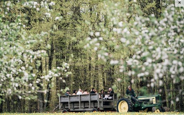 Hyland Orchard & Brewery