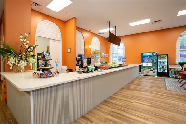 The Tree House Indoor Play & Cafe