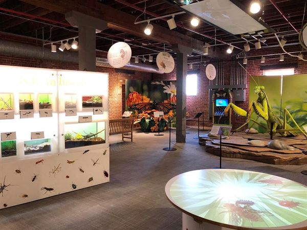 Leonardo's Children's Museum