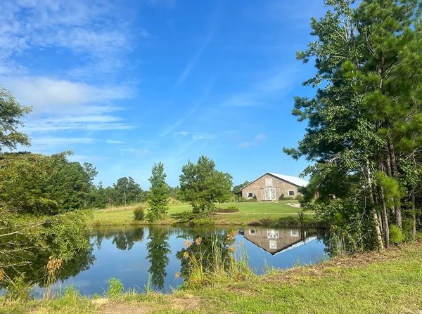 Tin Roof at the Preserve
